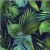 Anali, Foliage