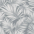 Plumeria, Wild Dove