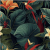 Samora, Jungle Green